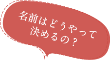 Q.名前はどうやって決めるの？