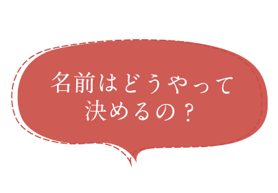 名前はどうやって決めるの？